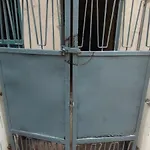 Sri Viswanatham Guest House